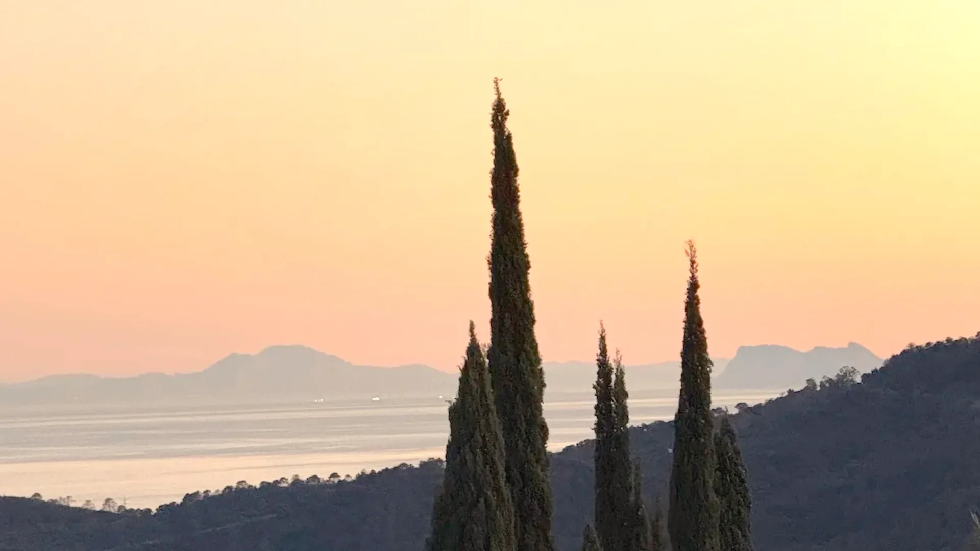 Agence immobilière à Marbella : cyprès au coucher du soleil sur la Costa del Sol