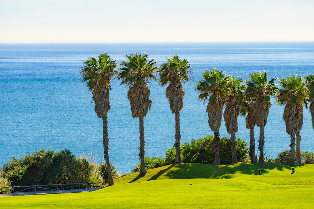 Mijas Golf 1 Immobilier à vendre à Mijas Golf, Costa del Sol