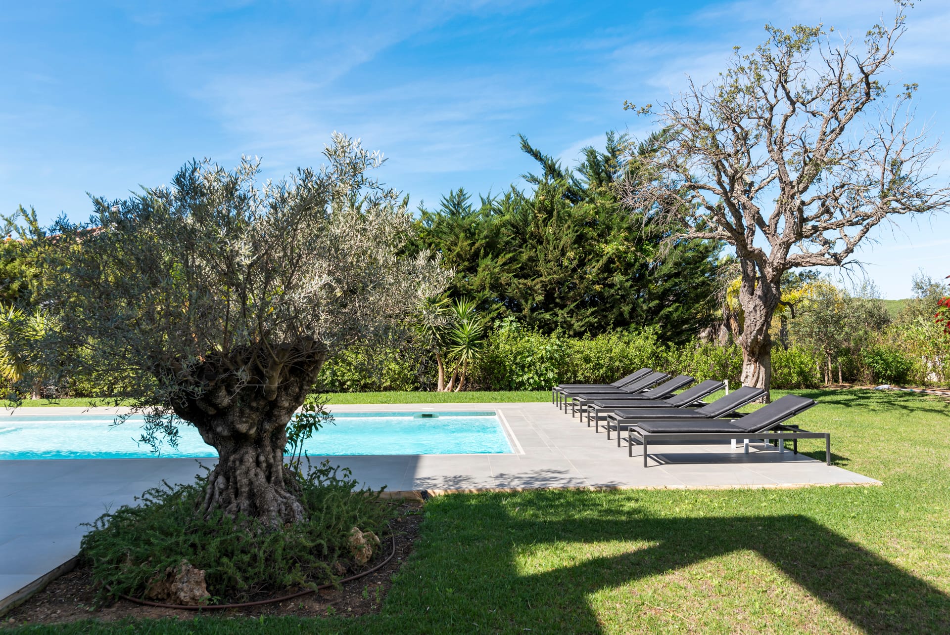 Villa Las Chapas: vakantievilla met privézwembad in Marbella 20 Tuin met olijfboom en zwembad